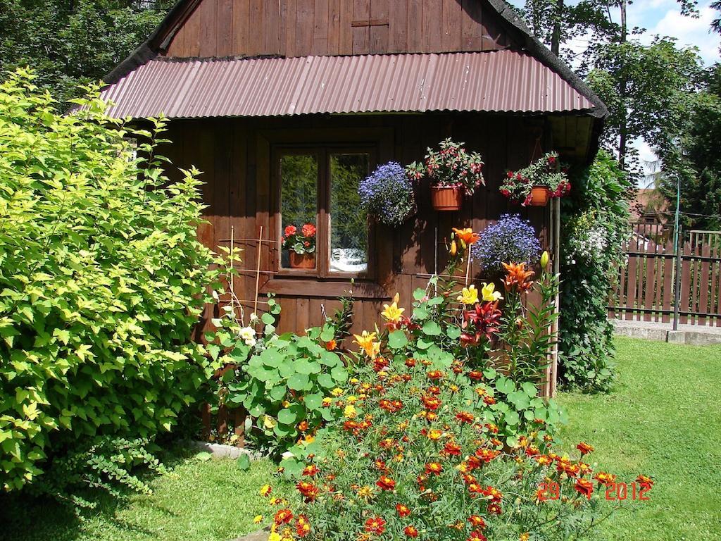 Appartement Modrzew à Zakopane Extérieur photo